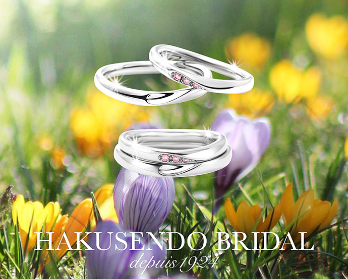 all のコピーs