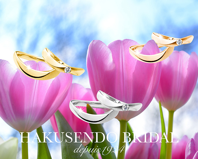 all のコピーs